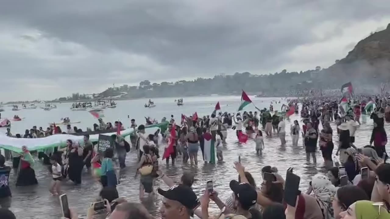 Yes the ships arrived in Gaza