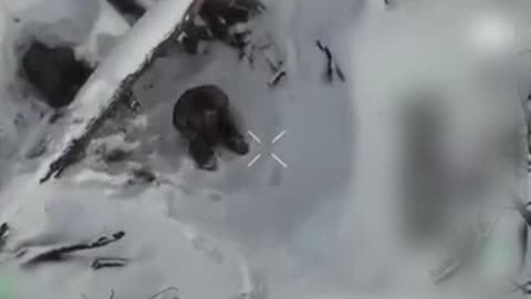 The Drone Gods Smile Apon Thee. For Now