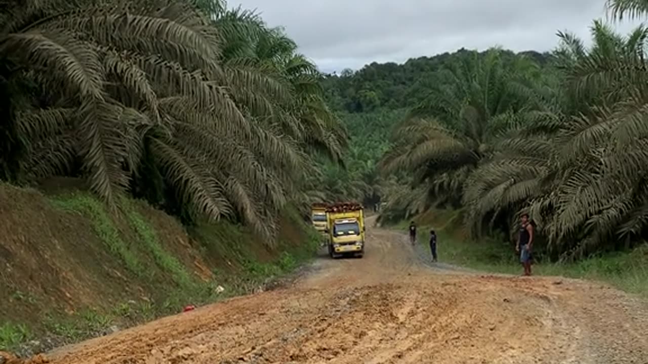 The truck loaded with palm oil almost failed to negotiate the sharp incline