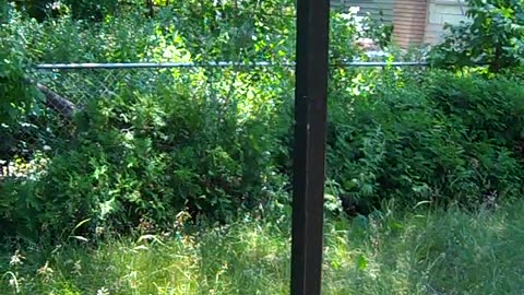 Part 1 of me Ranting at Daniels Place, whom res