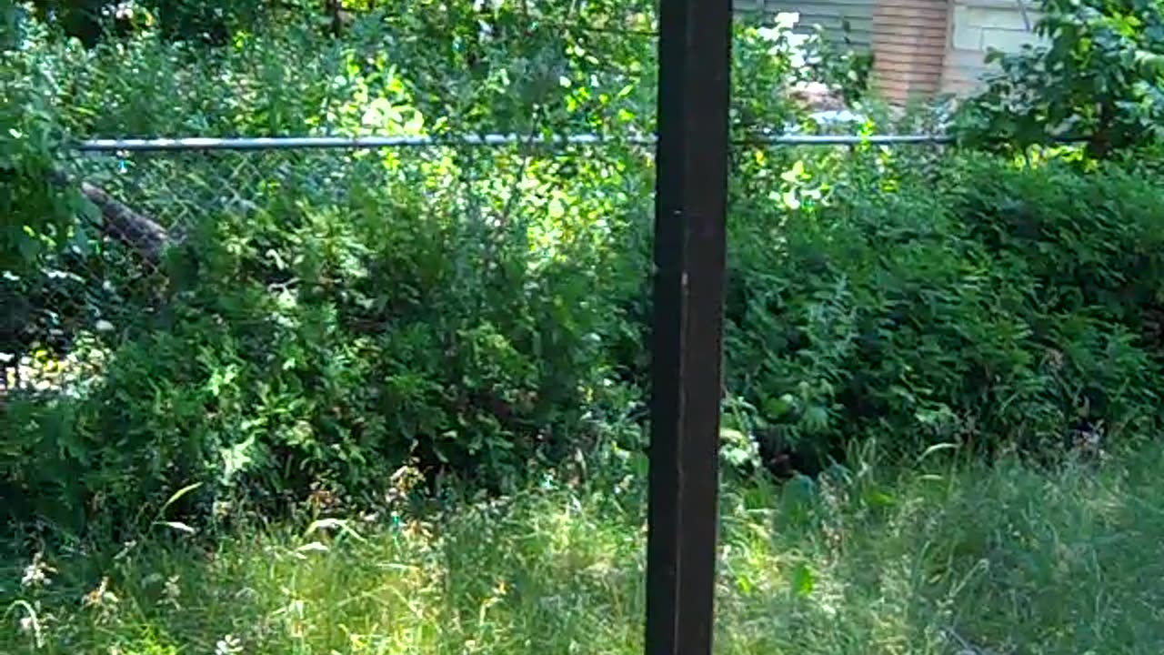 Part 1 of me Ranting at Daniels Place, whom res