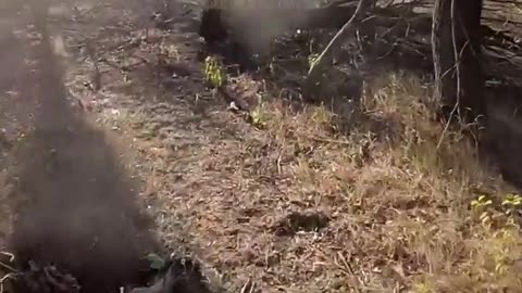 🔒💥 Ukraine Russia War | Ukrainian SOF Unit 'Artan' Captures Russian Soldier | RCF