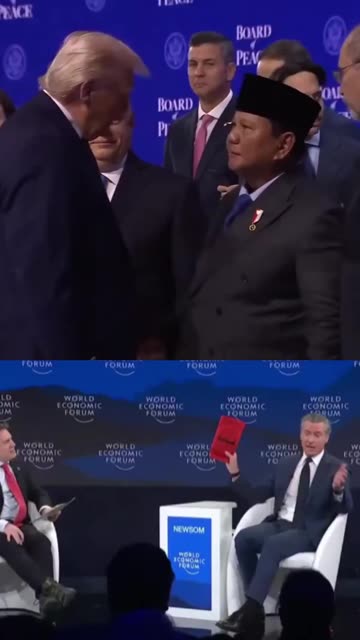 Gavin là một tên tâm thần tại Davos!