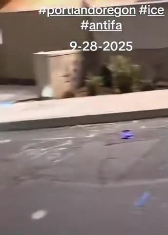 Trolling Antifa, Boss Level (Language Alert)