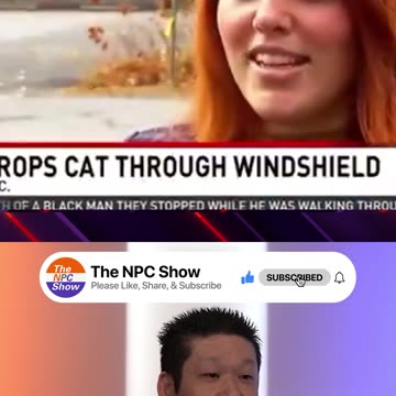 Bald Eagles Getting Revenge Against Humans 🐈🦅