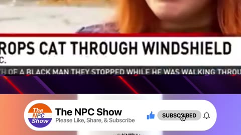 Bald Eagles Getting Revenge Against Humans 🐈🦅