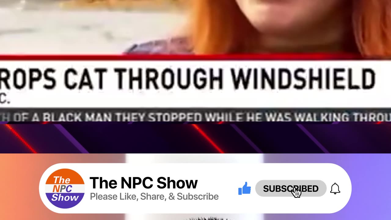 Bald Eagles Getting Revenge Against Humans 🐈🦅