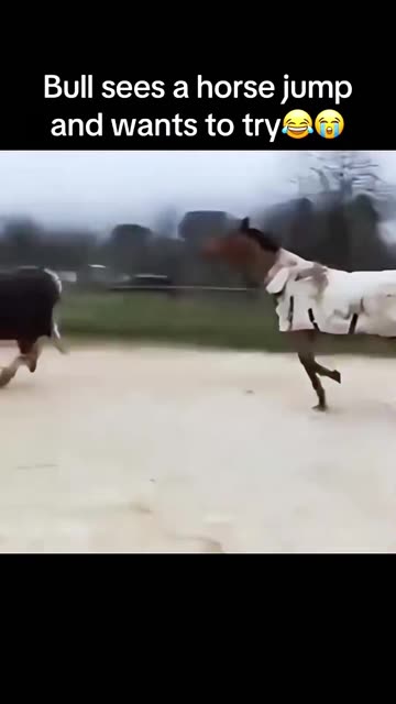 Every Life needs a Life