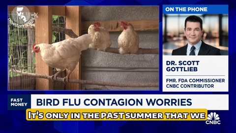 Dr. Gottlieb Urges Swift Action: Updating Bird Flu Vaccines