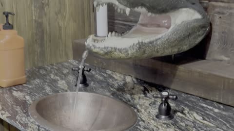 Gator Head Sink Found In Louisiana Restaurant