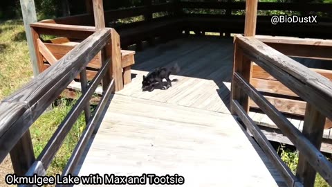Max and Tootsie on the deck trail at Okmulgee Lake in Oklahoma - Muscogee Nation -