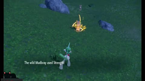Shiny Mudbray #pokemon shiny catch