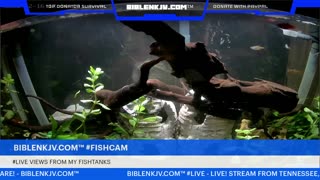 BIBLENKJV.COM™ 12/15/2025 #LIVE #FISHCAM #WEATHER