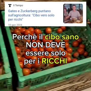 Perchè nessuno ne parla in Italia?