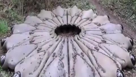 🤔🧿 The Most Bizarre Video You’ll Ever See... | TheHauntingHour