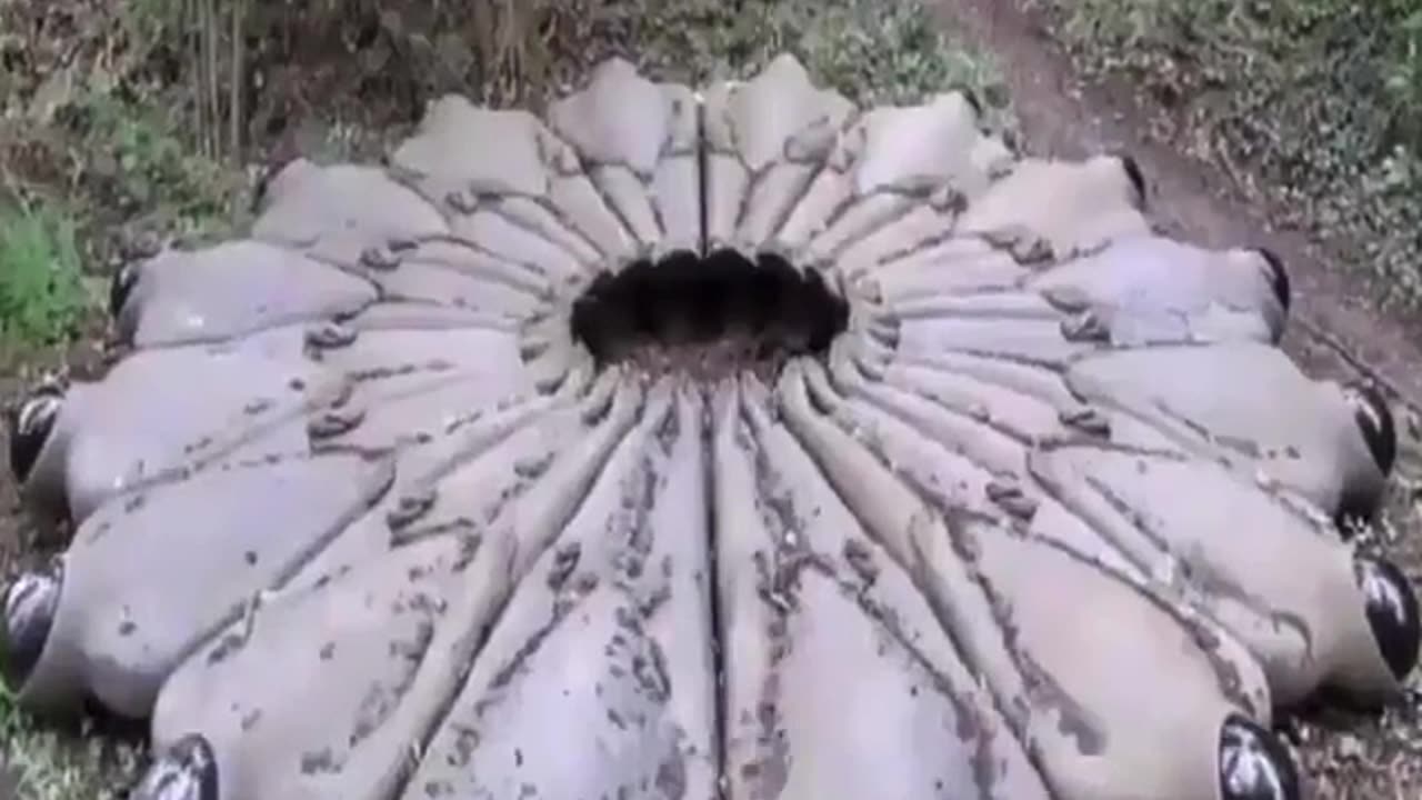 🤔🧿 The Most Bizarre Video You’ll Ever See... | TheHauntingHour