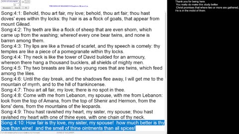 Song of Solomon 4 [Not for children]