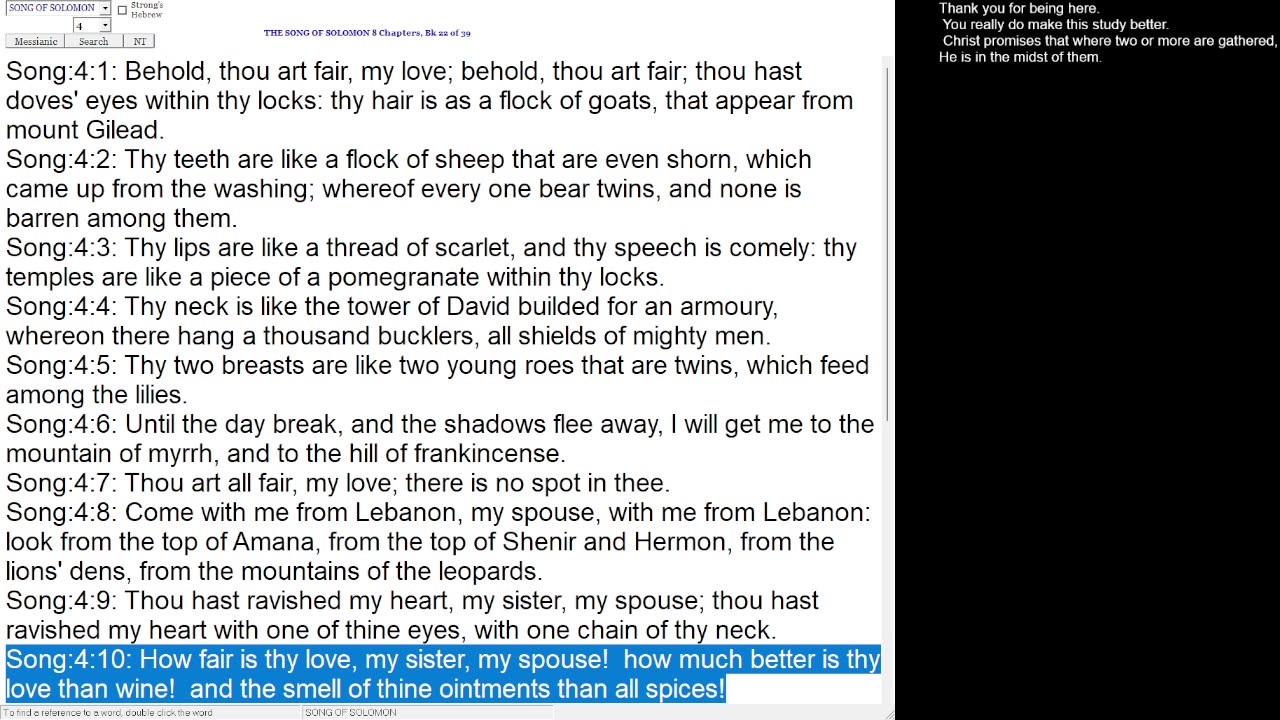 Song of Solomon 4 [Not for children]