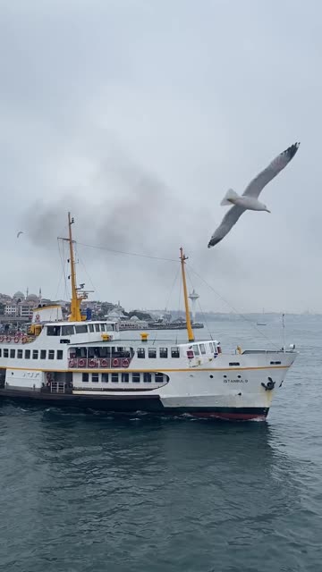 Soothing Journey: Majestic Ferry Sailing Through the Open Waters ⛴️🌊