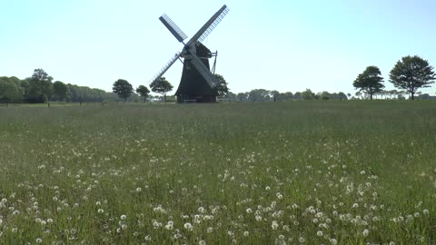 Out In The Dutch Countryside