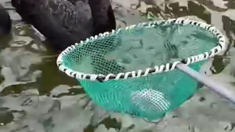 Very interesting video 😄😍🥰🌺