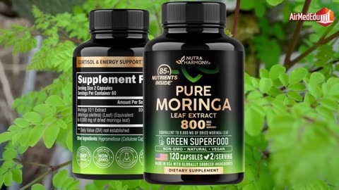 Efecto de la Moringa en el Organismo Humano