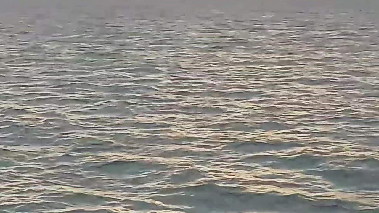 SUNSET with DOLPHINS #yacht