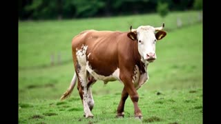 What About Nothing👀🤣🤪😎