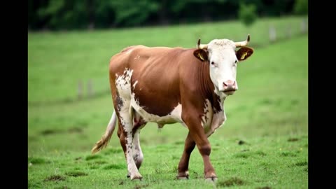 What About Nothing👀🤣🤪😎