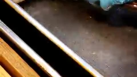 Selling 1,000 Egg Gimbap a Day?! Ultimate Korean Street Food Master! 🍳🍙🔥 #shorts