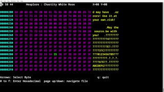 Hexplore File Access Update