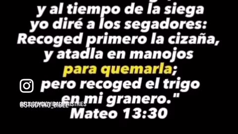 La Dieferencia entre el Trigo y la cizaña!