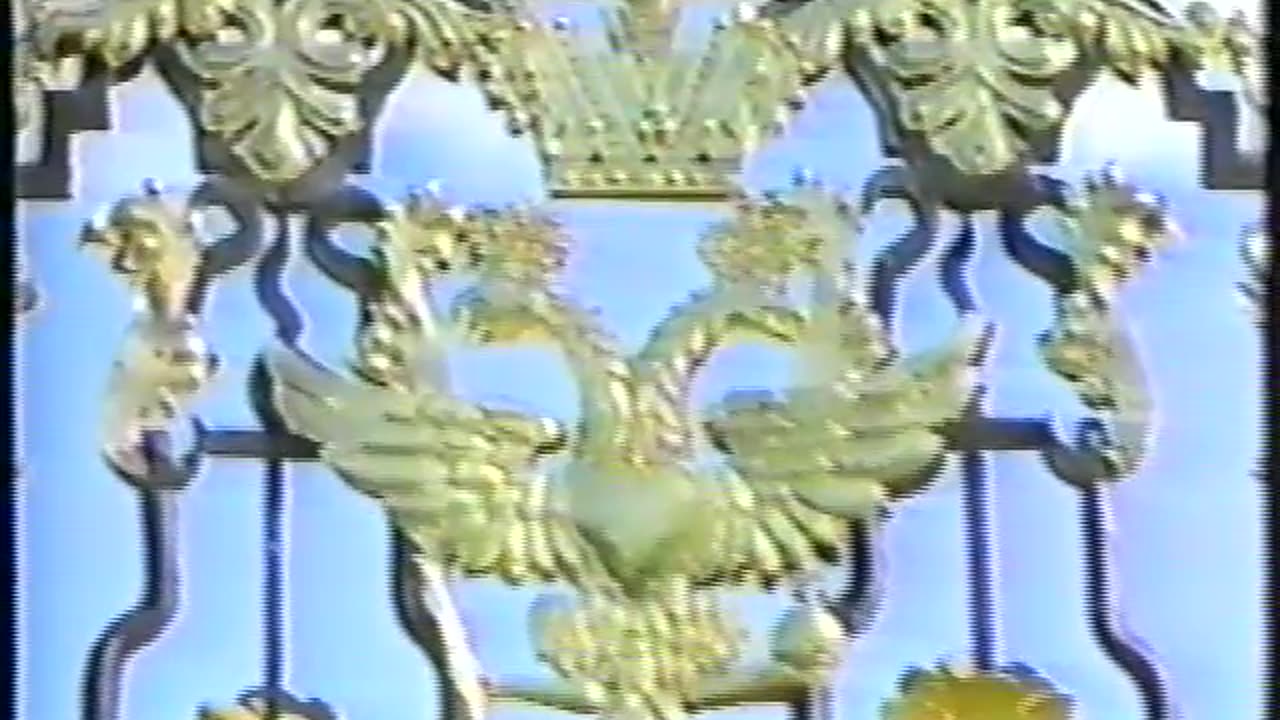 D31. St. Petersburg2