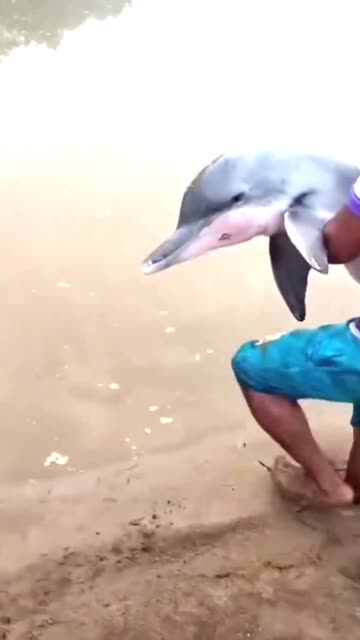 There are always heroes in everyday life