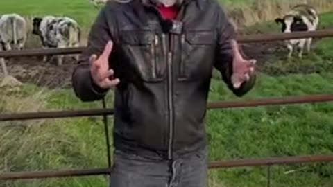 BOVAER FROM THE MOUTH OF A FARMER