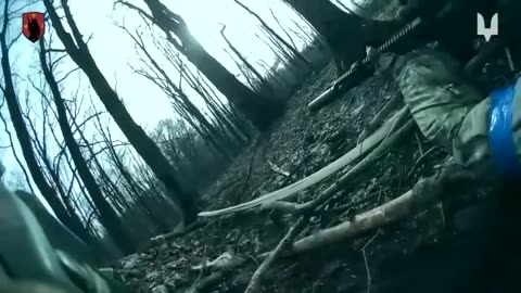 Ukraine Combat footage : assault on North Korean soldiers in Ukraine