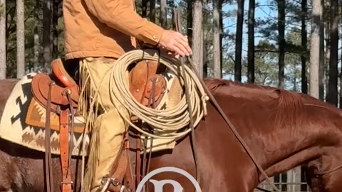 Eyes and Ears to the Left.