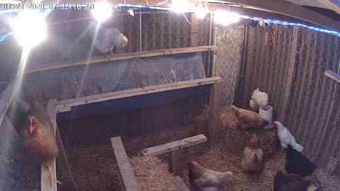 Waiting For The Hot Breakfast and Warm Water!