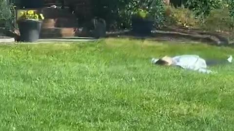 Your Sister Who Lives in NYC Comes Back Home for the Holidays