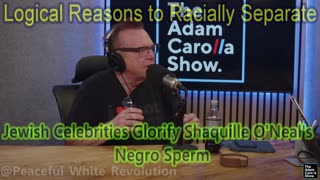 Adam Carolla Jews Glorify Negro Sperm To White Audience