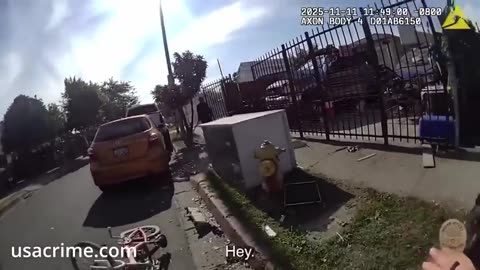 video shows police shooting chain-wielding suspect in South LA