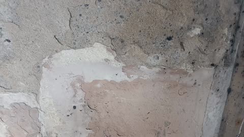 Jesus riding a dragon church bells & fireball