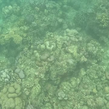 Snorkeling Morning!!