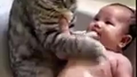 babies and cats