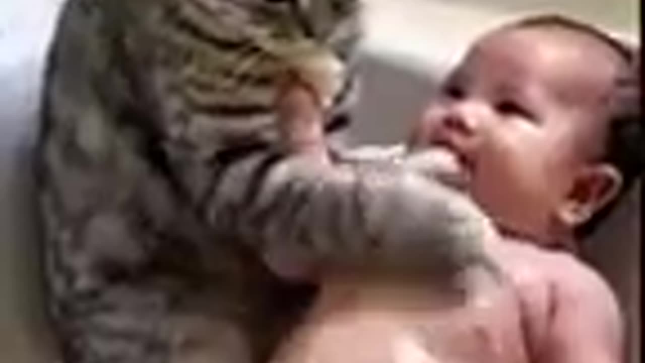 babies and cats