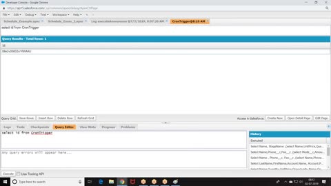 Salesforce Apex Videos-46. Schedule Operation