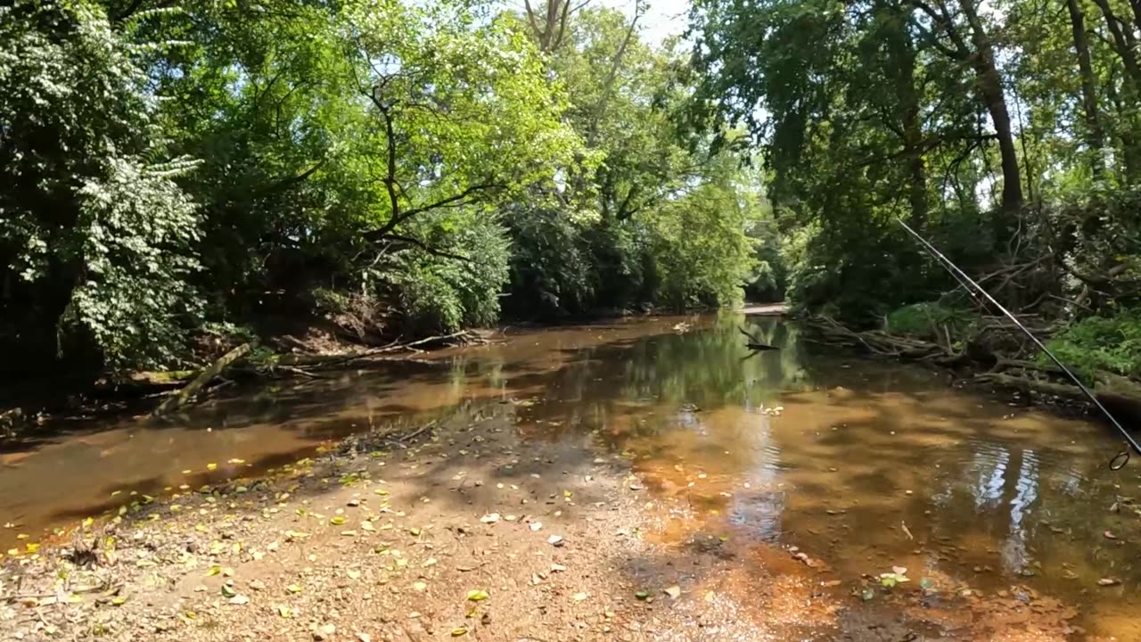 Ultralight Fishing in a Small Creek