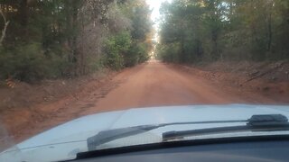 They get excited to see me, or scratch?