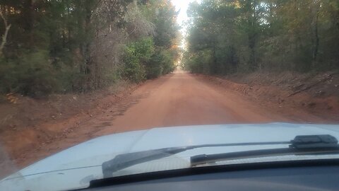 They get excited to see me, or scratch?