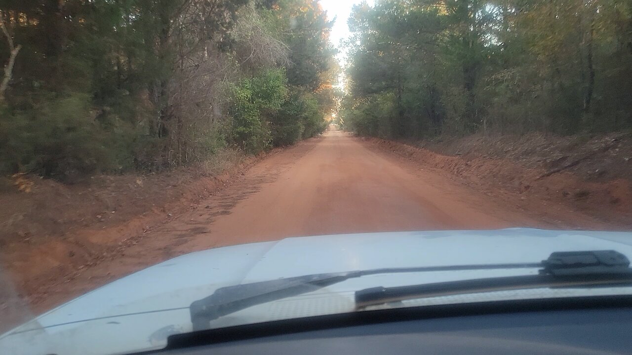 They get excited to see me, or scratch?